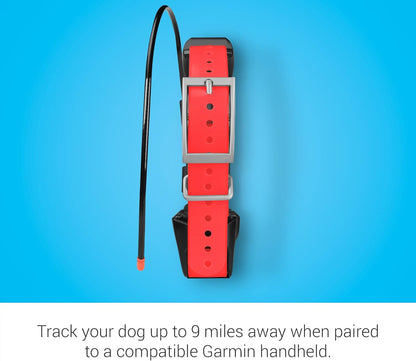 15X Dog Device, Tracking and Training Dog Device with Collar, 18 Levels of Stimulation, Rugged and Water-Resistant, High-Sensitivity GPS, Red