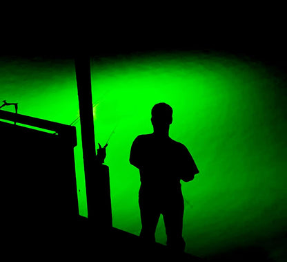 Light Extra Bright Vibrant Green 250W Single Light for Docks with 50' of Marine Grade Wire, Easy to Install, Dusk to Dawn Operation, Salt or Fresh Water, Guaranteed to Attract Fish